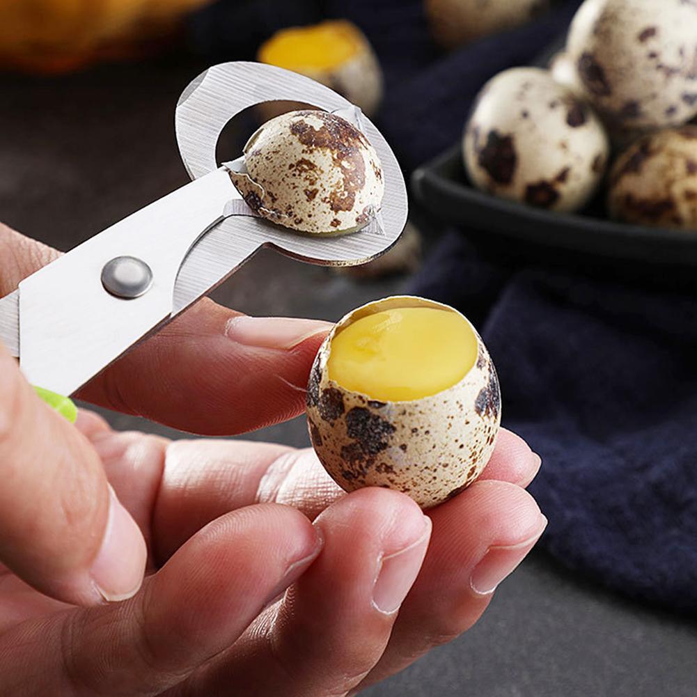 鳩、ウズラ、小型卵の殻割り、ハサミカット、鳥の卵の殻割り器、 - Egg Separator Tool のレビューと価格